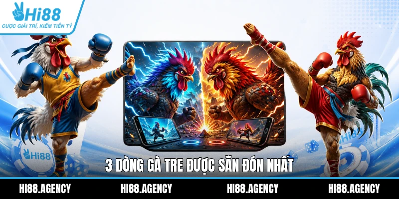 3 dòng gà tre được săn đón nhất