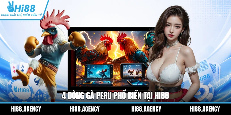 4 dòng gà Peru phổ biến tại HI88