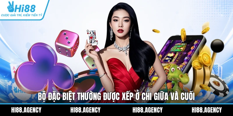 Bộ đặc biệt thường được xếp ở chi giữa và cuối