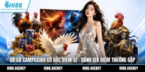 Đá Gà Campuchia Có Đặc Điểm Gì - Đánh Giá Điểm Thường Gặp