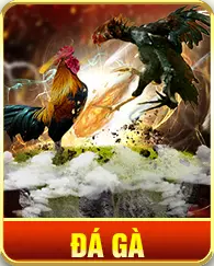 Đá gà Hi88