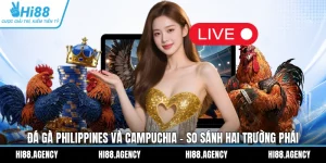 Đá Gà Philippines Và Campuchia - So Sánh Hai Trường Phái