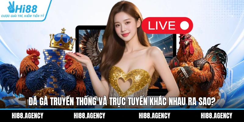 Đá Gà Truyền Thống Và Trực Tuyến Khác Nhau Ra Sao?