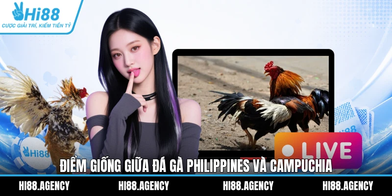 Điểm giống giữa đá gà Philippines và Campuchia