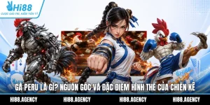 Gà Peru Là Gì? Nguồn Gốc Và Đặc Điểm Hình Thể Của Chiến Kê