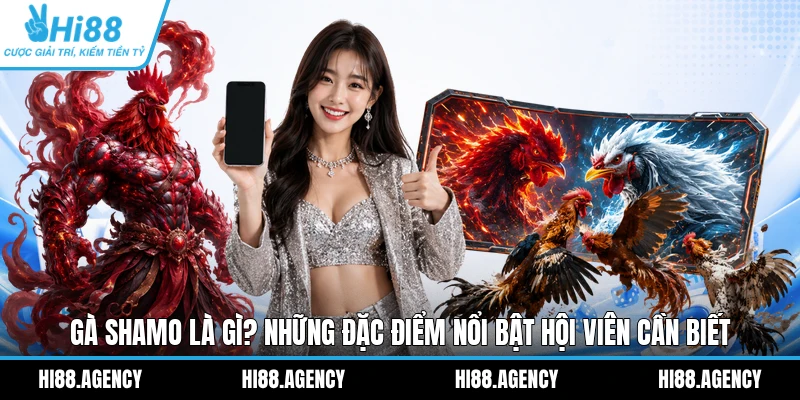 Gà Shamo Là Gì? Những Đặc Điểm Nổi Bật Hội Viên Cần Biết