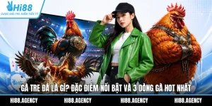 Gà Tre Đá Là Gì? Đặc Điểm Nổi Bật Và 3 Dòng Gà Hot Nhất