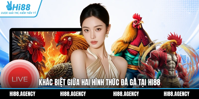 Khác biệt giữa hai hình thức đá gà tại HI88