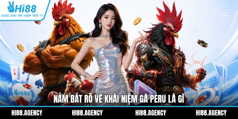 Nắm bắt rõ về khái niệm gà Peru là gì