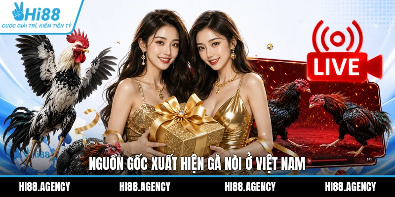 Nguồn gốc xuất hiện gà nòi ở Việt Nam