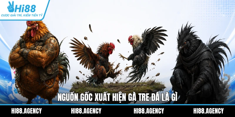Nguồn gốc xuất hiện gà tre đá là gì