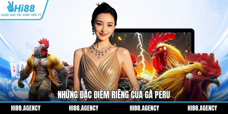 Những đặc điểm riêng của gà Peru