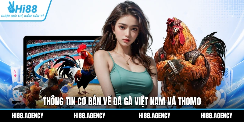 Thông tin cơ bản về đá gà Việt Nam và Thomo
